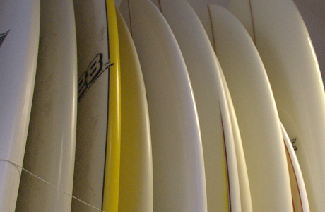 cat-surfboards.jpg